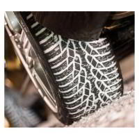 Зимние шины Nokian Tyres WR D4 205/55R16 91H