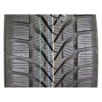 Зимние шины Lassa Competus Winter 2 Plus 225/45R19 96V