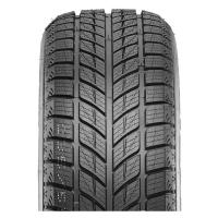 Зимние шины Doublestar DW09 275/45R20 XL 110H