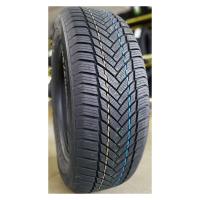 Зимние шины Tourador Winter Pro TS1 195/70R14 91T